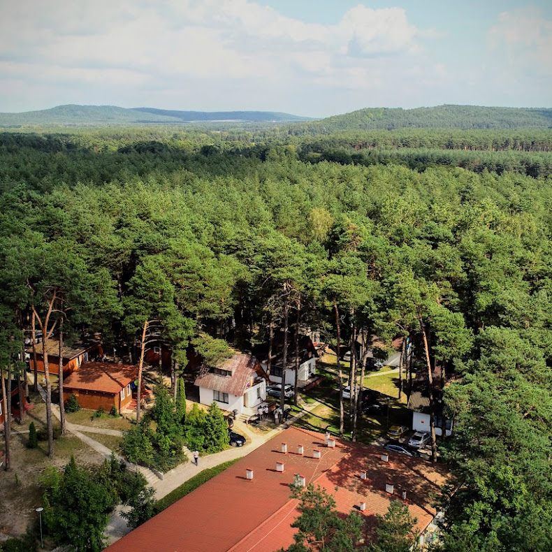 Widok z lotu ptaka na zabudowania wśród drzew.